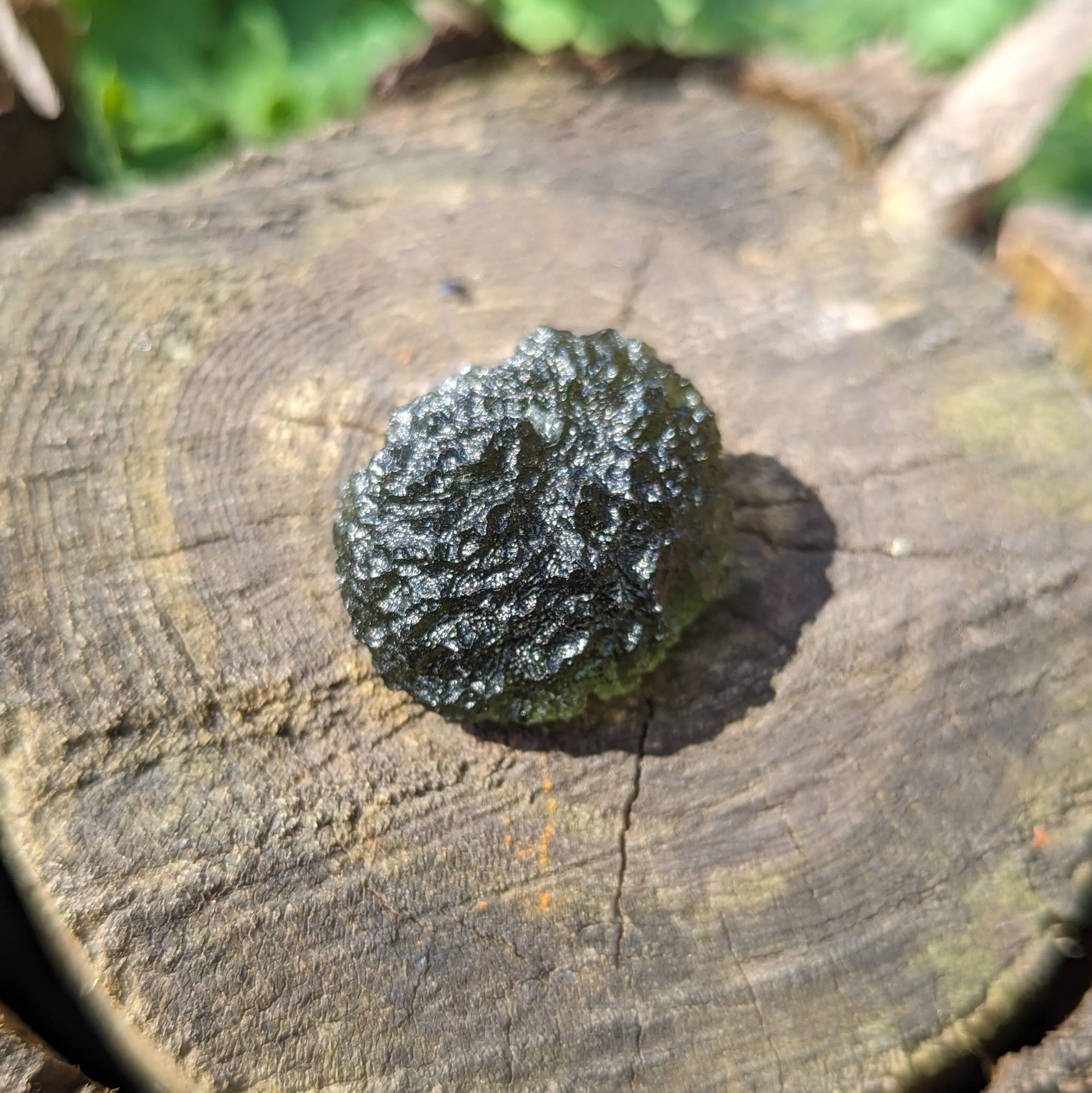 AAA Grade! Genuine Moldavite ~Cosmic Moldavite Tektite Crystal~ Natural Moldavite