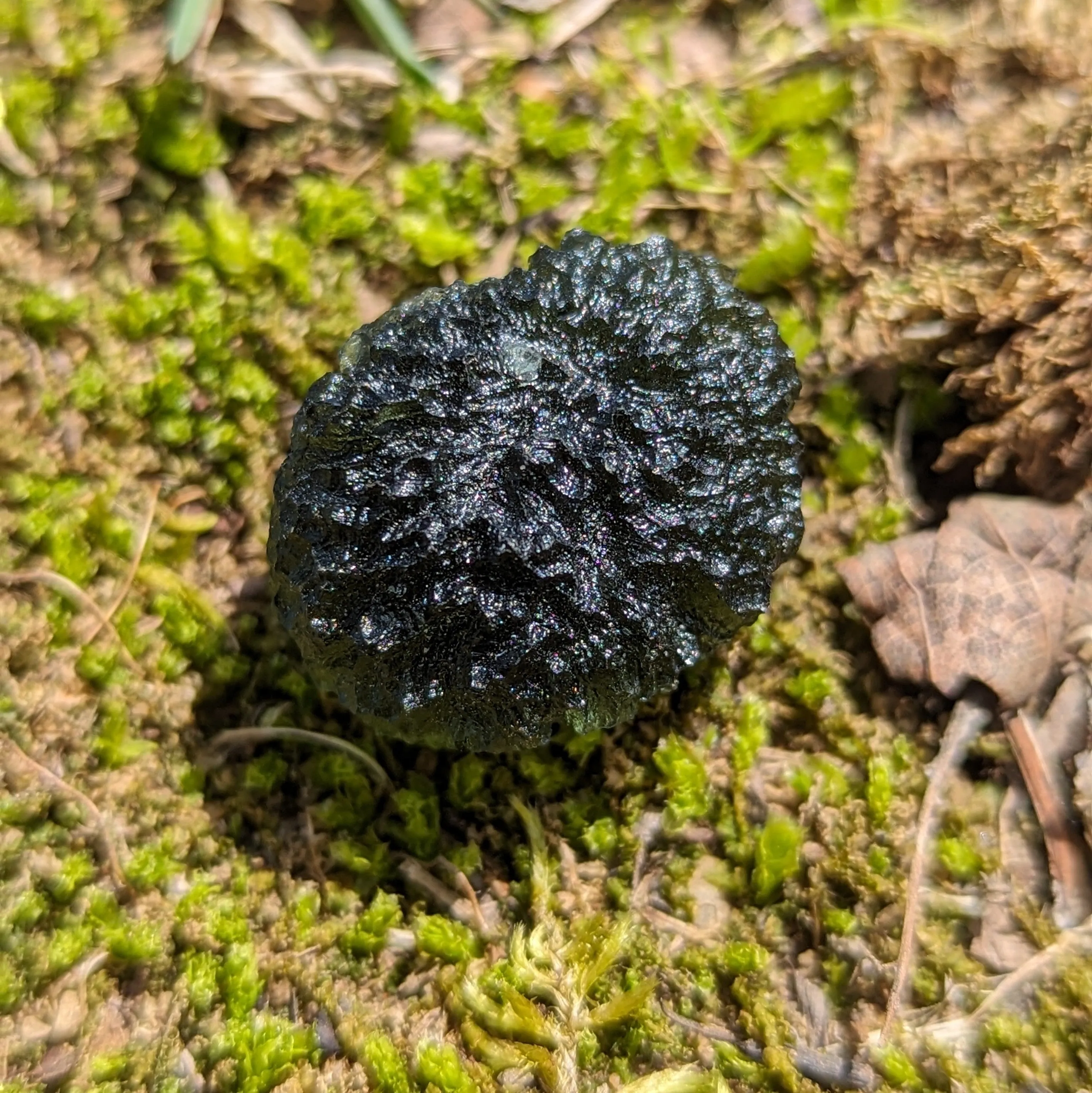 AAA Grade! Genuine Moldavite ~Cosmic Moldavite Tektite Crystal~ Natural Moldavite