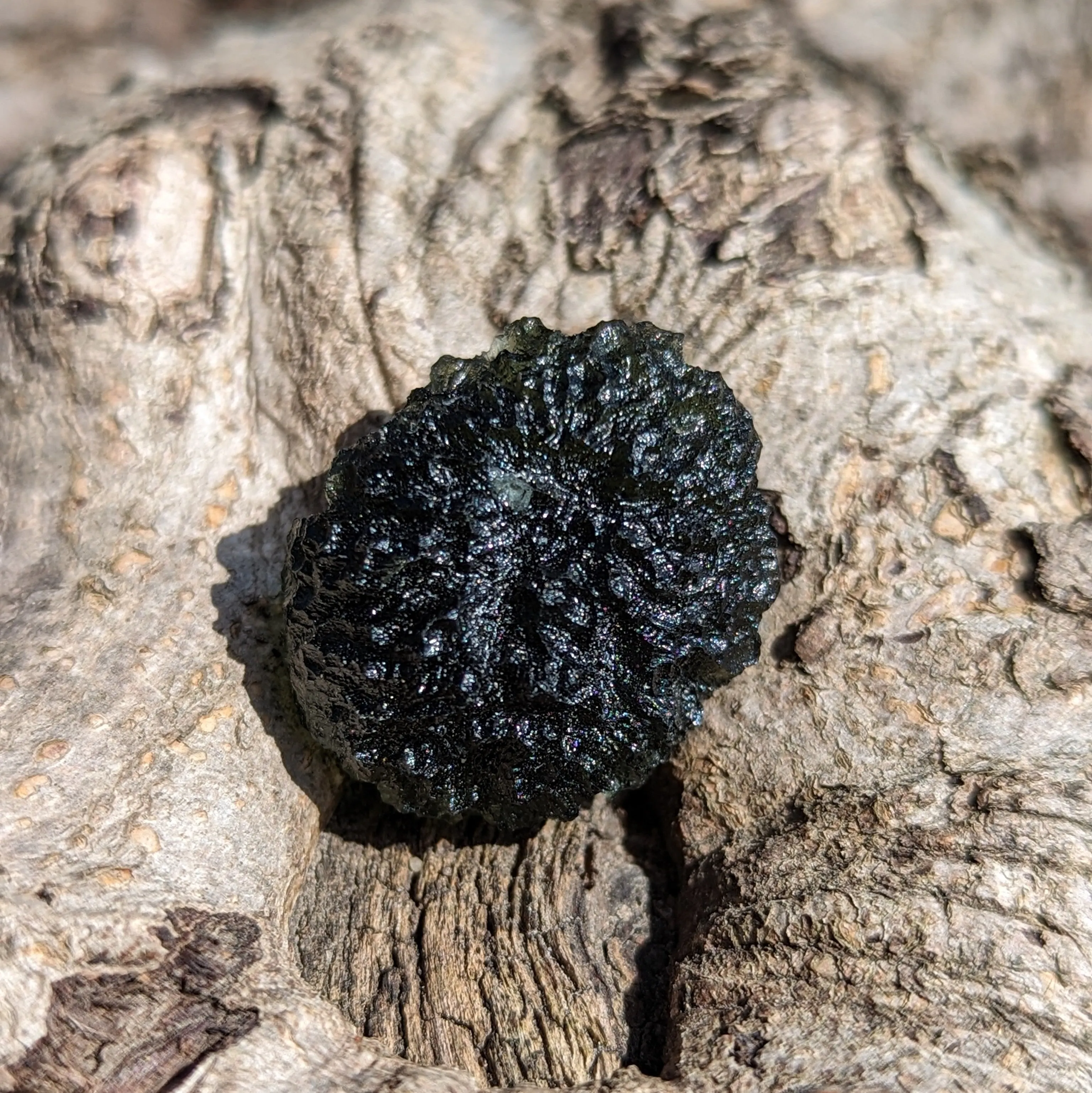 AAA Grade! Genuine Moldavite ~Cosmic Moldavite Tektite Crystal~ Natural Moldavite