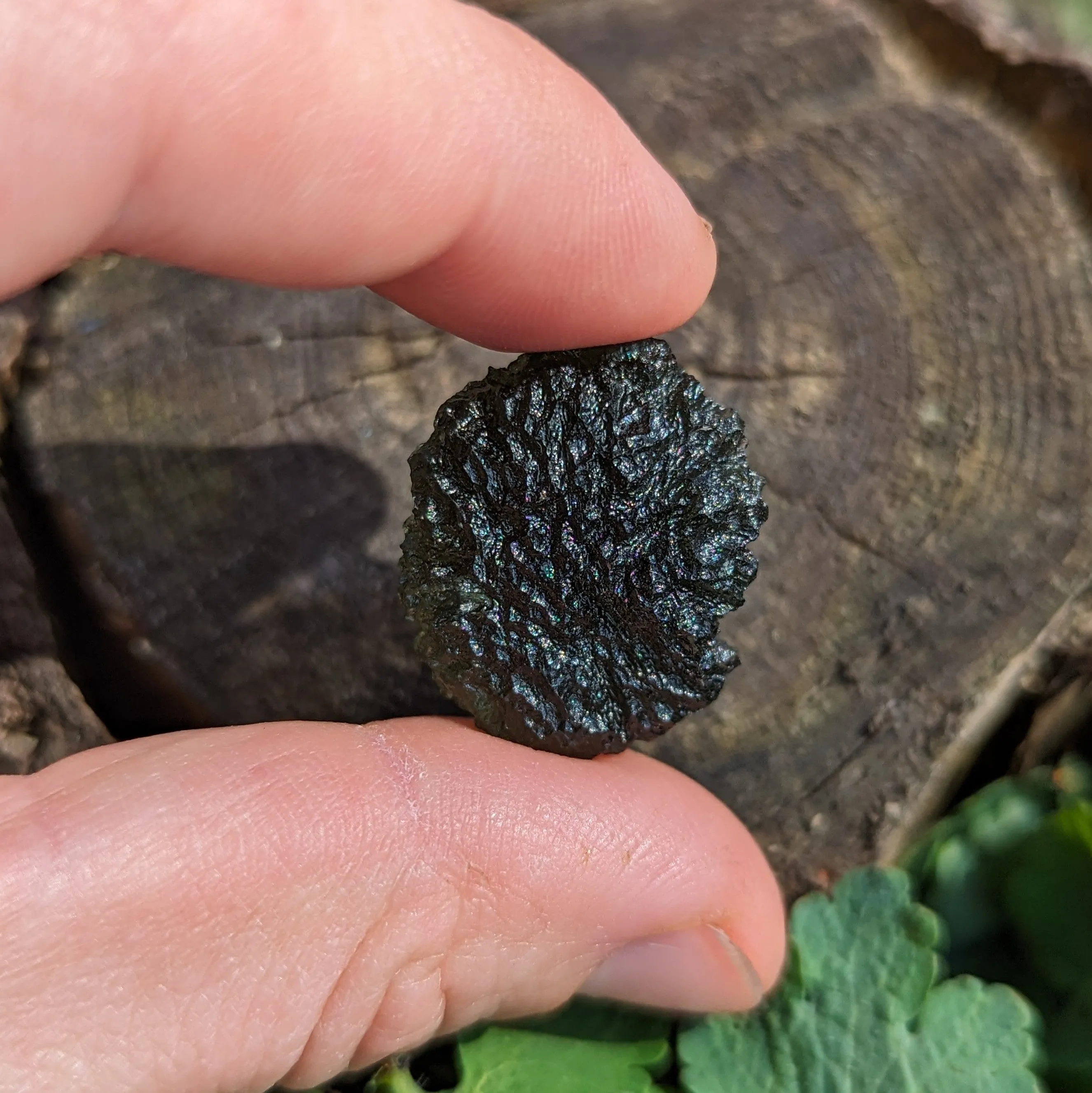 AAA Grade! Genuine Moldavite ~Cosmic Moldavite Tektite Crystal~ Natural Moldavite