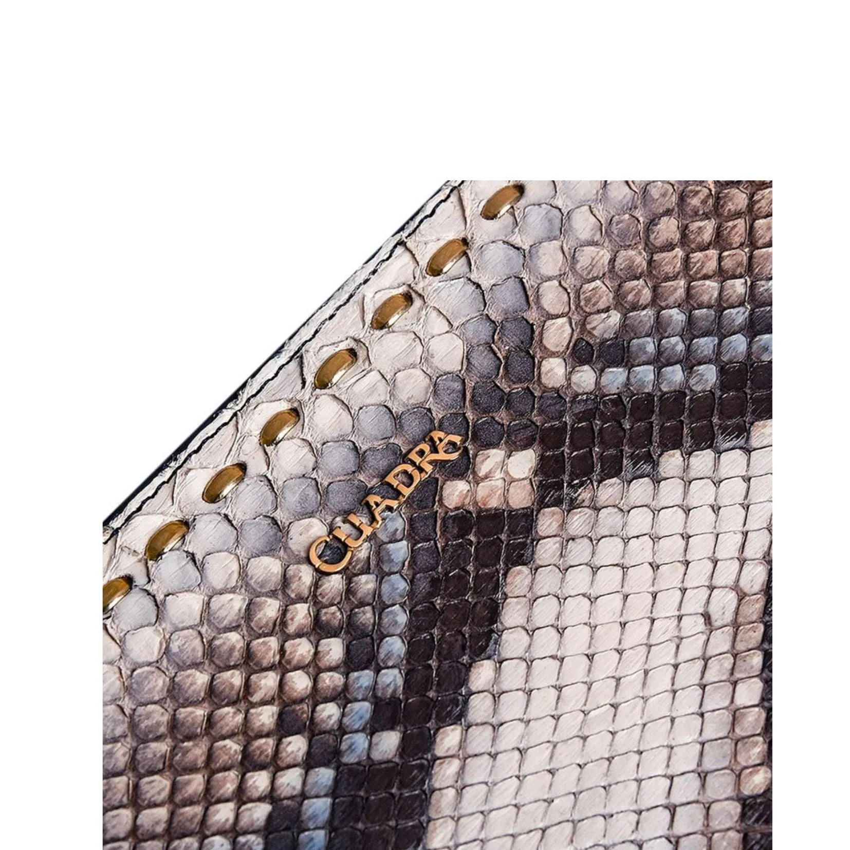 BD211PI - Cuadra blue fashion python leather wallet clutch for women