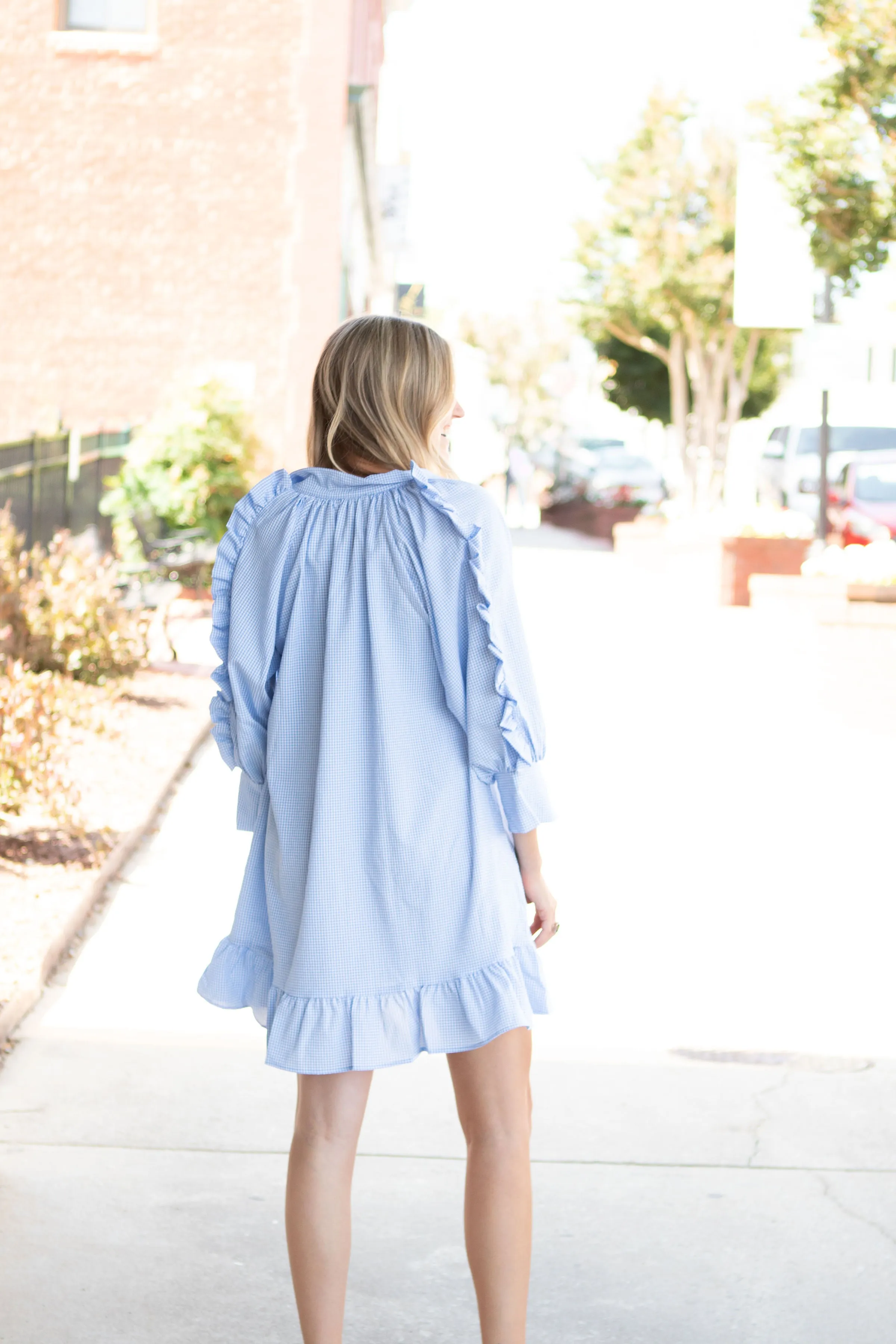 Checked Ruffle Sleeve Dress